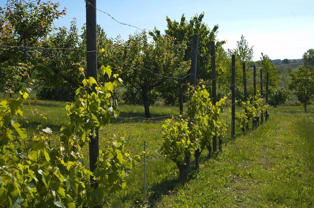 Cascina San Giorgio Βίλα Valenza Εξωτερικό φωτογραφία