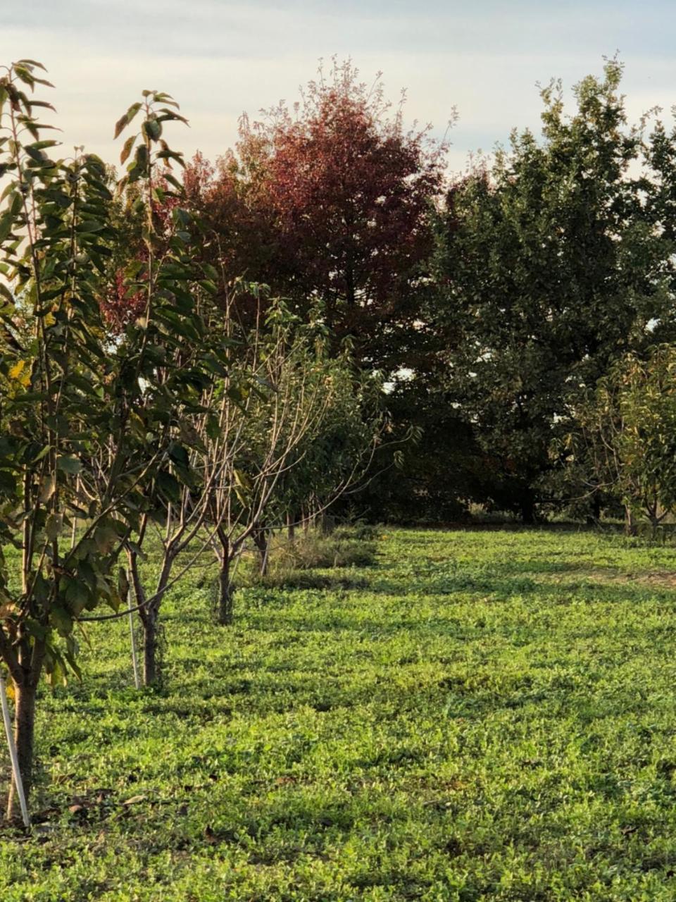 Cascina San Giorgio Βίλα Valenza Εξωτερικό φωτογραφία