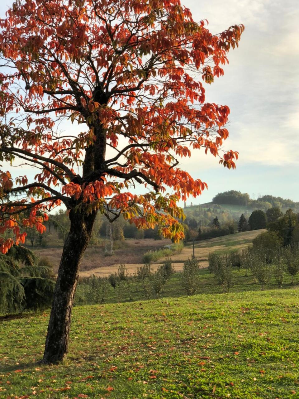 Cascina San Giorgio Βίλα Valenza Εξωτερικό φωτογραφία